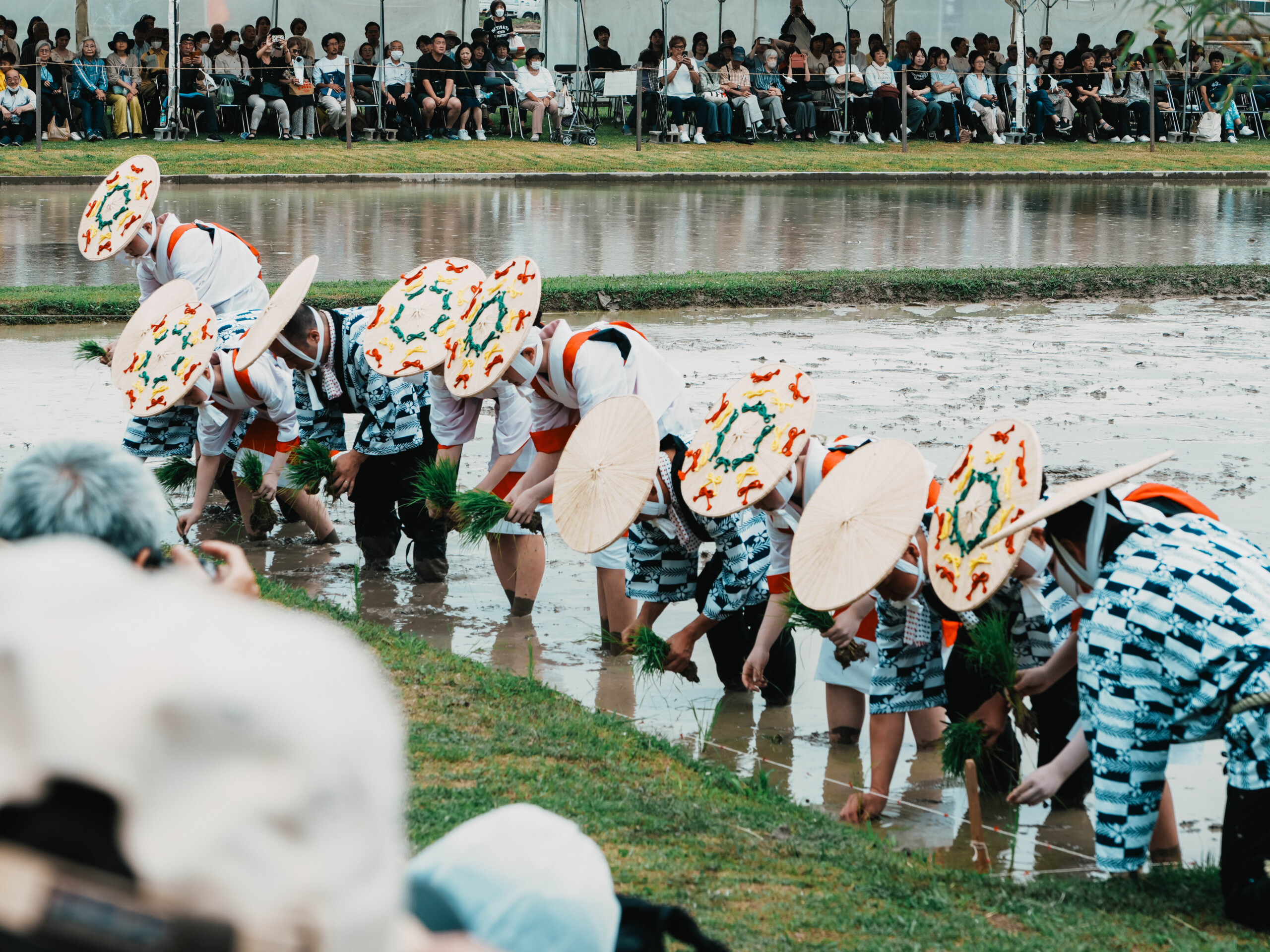 伊雑宮御田植式（いざわのみや おたうえしき）の御田植神事