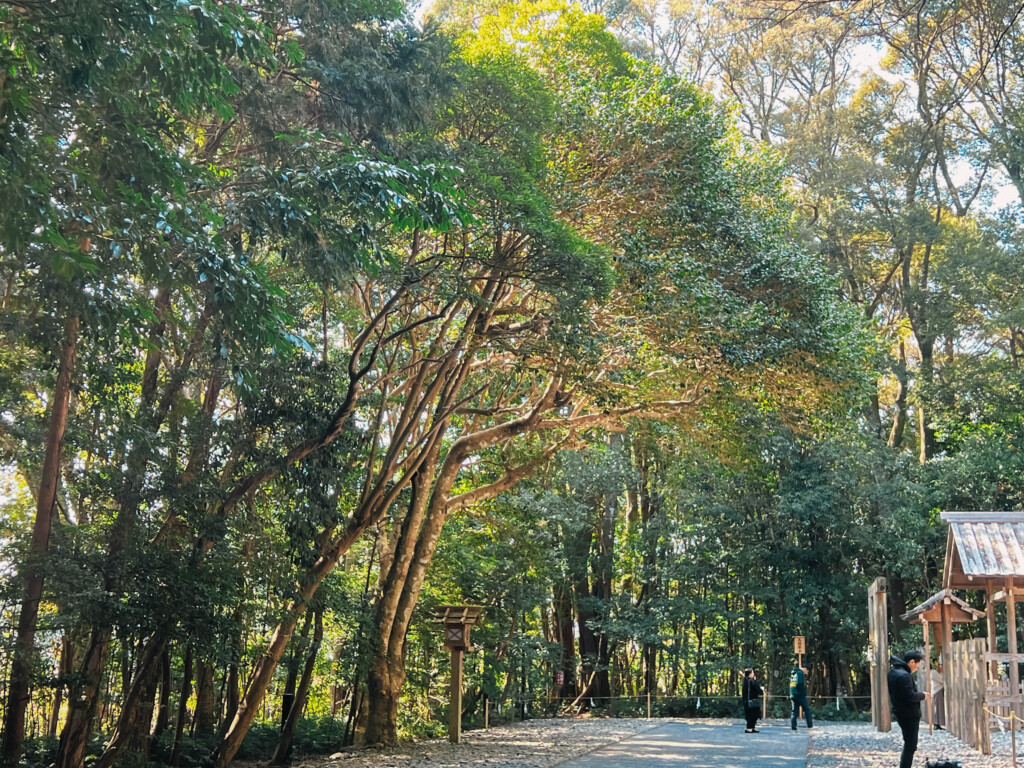 伊勢神宮本殿付近