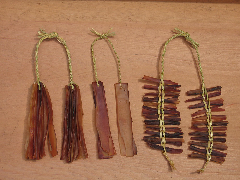 熨斗鮑（のしあわび）