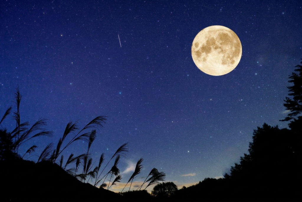 夜空に浮かぶ月